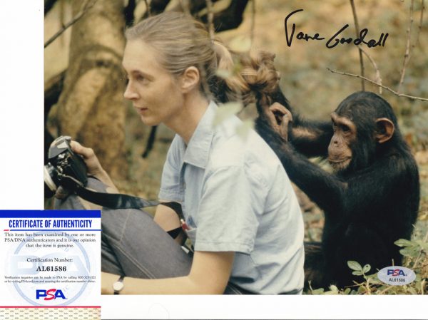 Jane Goodall Chimpanzees Peace Signed Autograph 8x10 Photo With PSA/DNA COA #1