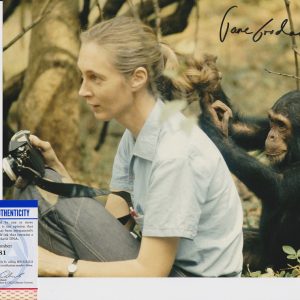 Jane Goodall Chimpanzees Animal Rights Peace Signed Autograph 8x10 Photo With PSA/DNA COA C