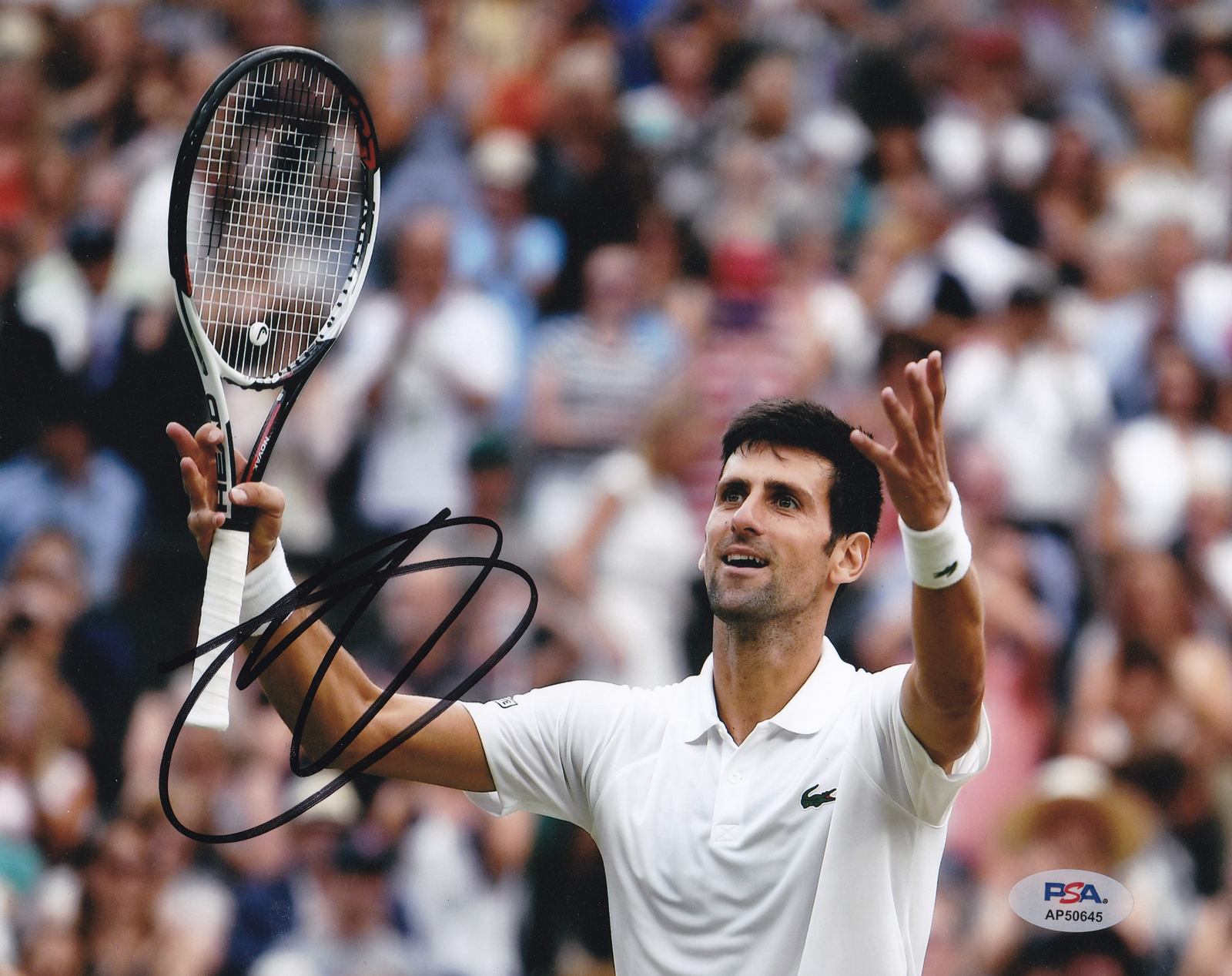 Novak Djokovic Tennis US Open Olympics Signed Autograph 8x10 Photo With PSA/DNA COA H