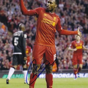 Daniel Sturridge Liverpool Legend Signed Autograph 8x10 Photo PSA/DNA COA #2