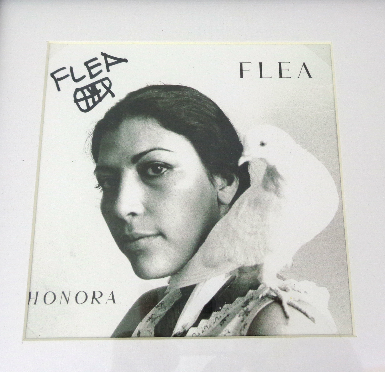 Flea RHCP Red Hot Chili Peppers Signed Autograph Honora CD Framed With PSA/DNA COA